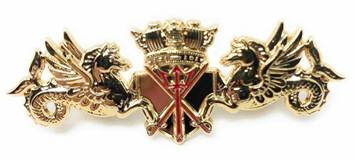 Pin Badge